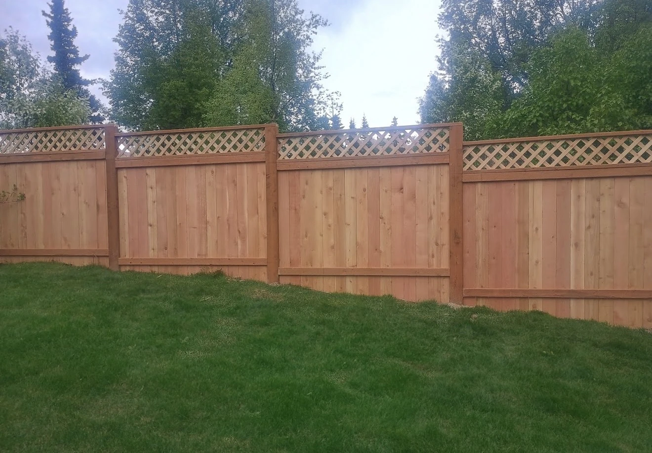 cedar-lattice-top-fence-stained